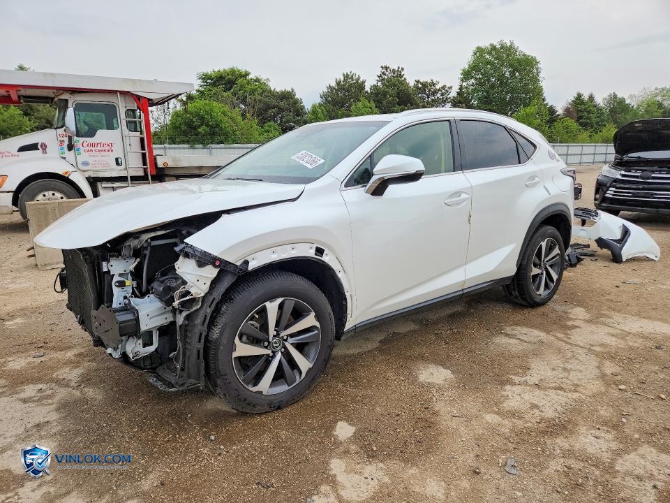 2019 LEXUS NX 300 BASE – Lot 53821066 auction photo