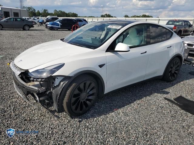2022 TESLA MODEL Y – Lot 53821806 auction photo