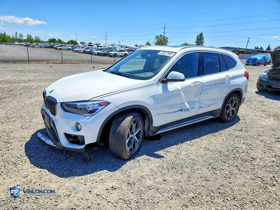 2019 BMW X1 XDRIVE28I – Lot 53827986 auction photo