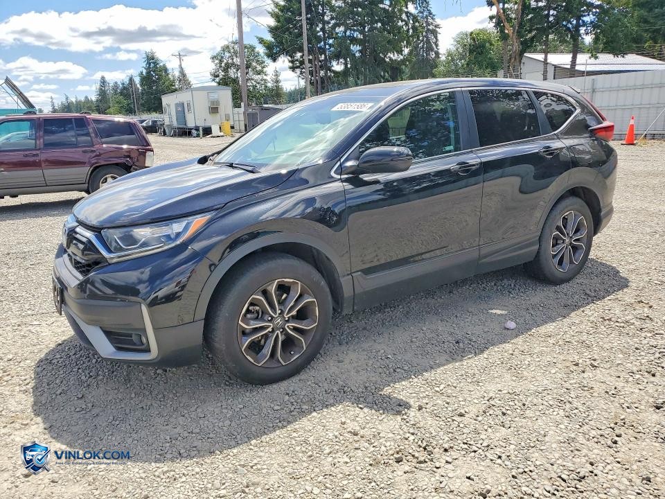 2021 HONDA CR-V EXL – Lot 53851586 auction photo