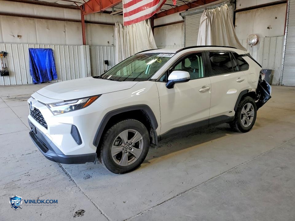 2024 TOYOTA RAV4 LE – Lot 53872396 auction photo