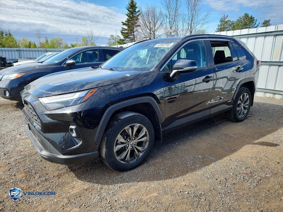 2023 TOYOTA RAV4 HYBRID XLE – Lot 53882246 auction photo
