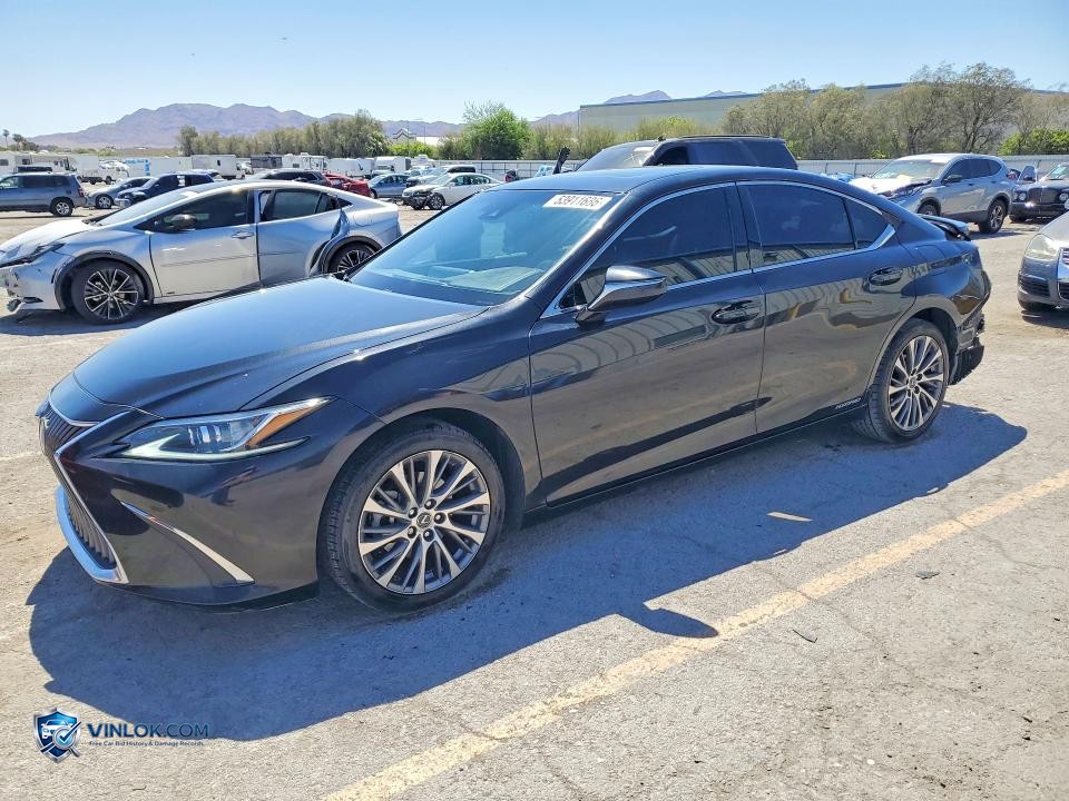 2021 LEXUS ES 300H – Lot 53911686 auction photo
