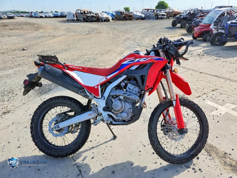 2024 HONDA CRF300 LA – Lot 53913536 auction photo