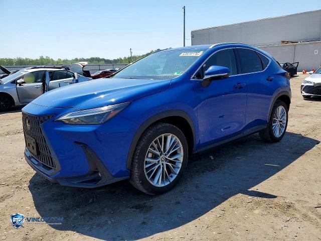 2025 LEXUS NX 350 PREMIUM – Lot 53920126 auction photo