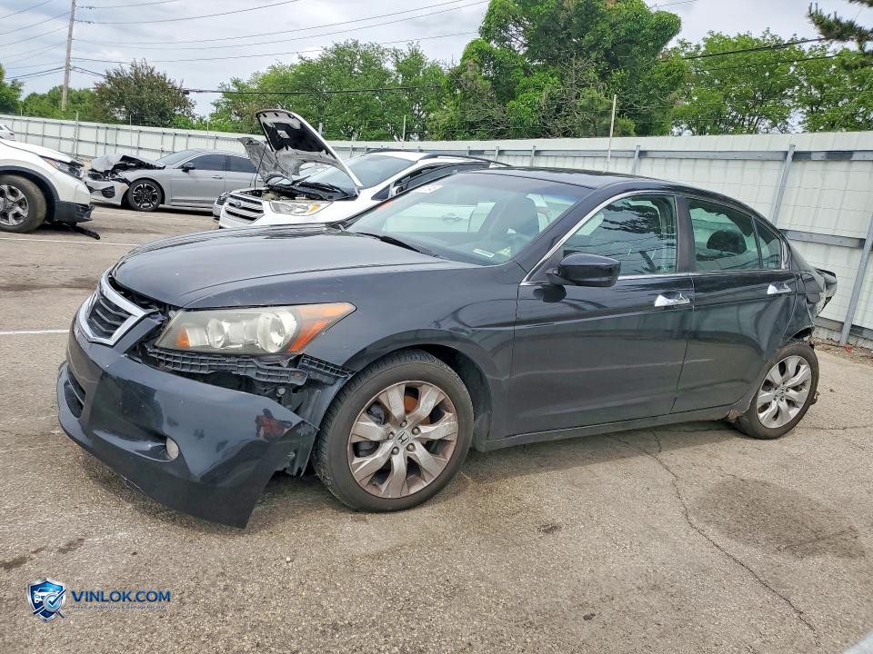 2008 HONDA ACCORD EXL – Lot 53927346 auction photo