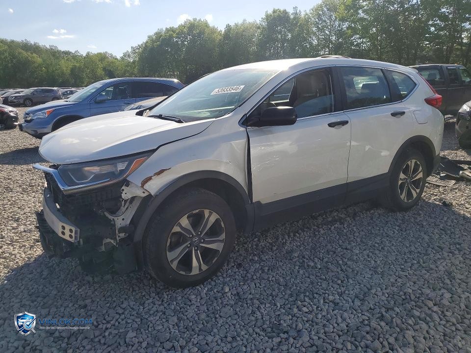 2017 HONDA CR-V LX – Lot 53933546 auction photo