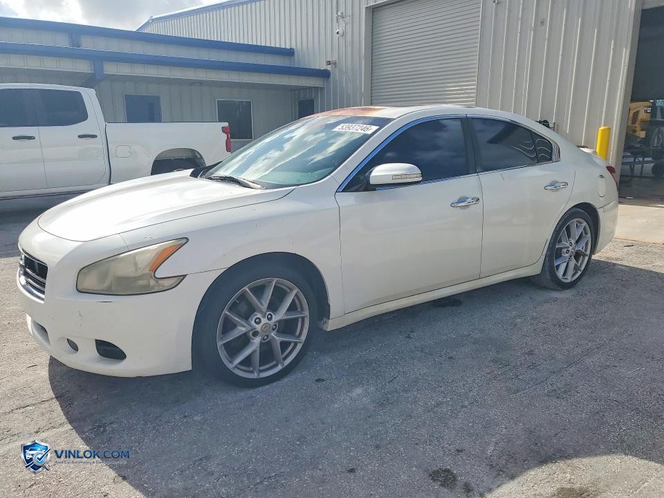 2009 NISSAN MAXIMA 3.5 S – Lot 53937246 auction photo