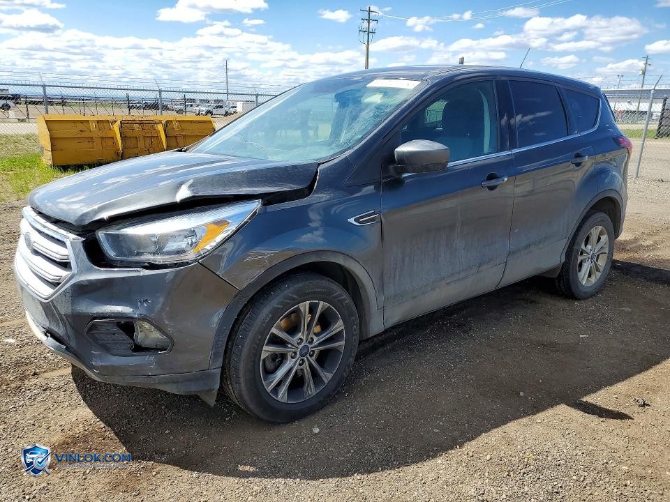 2019 FORD ESCAPE SE – Lot 53937686 auction photo