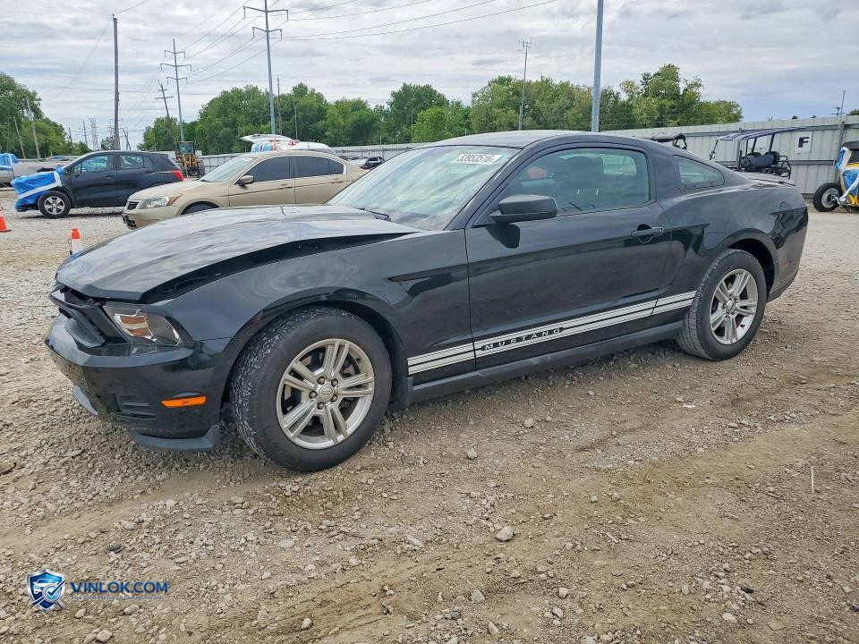 2011 FORD MUSTANG – Lot 53953516 auction photo
