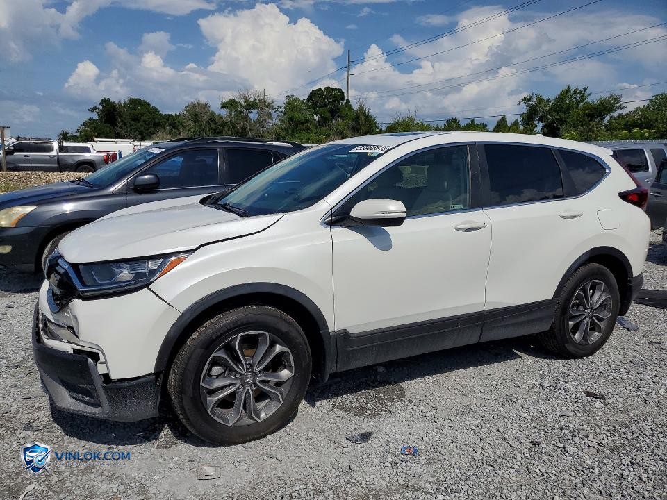 2022 HONDA CR-V EX – Lot 53966816 auction photo