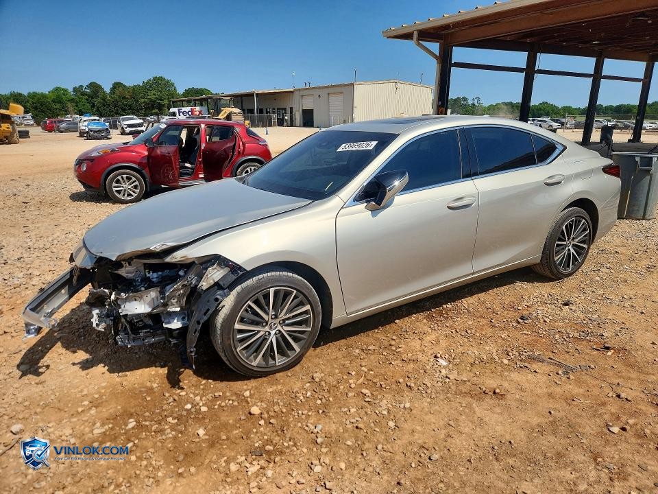 2024 LEXUS ES 250 BASE – Lot 53969026 auction photo