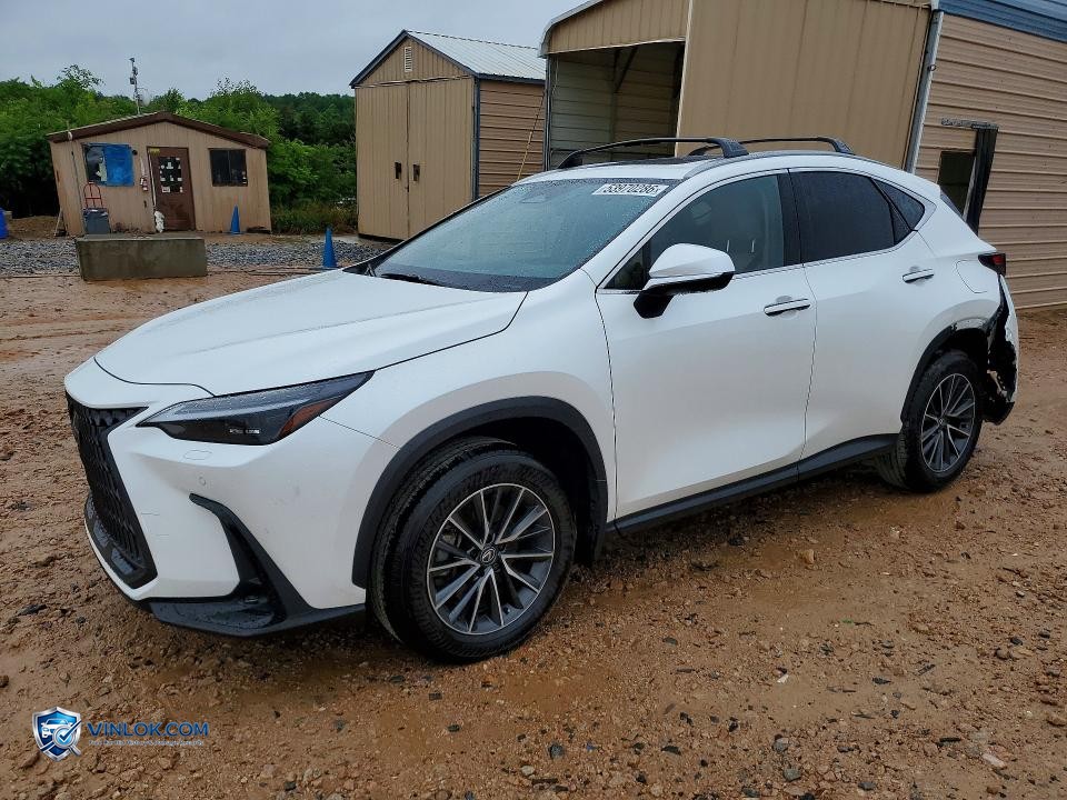2025 LEXUS NX 350 LUXURY – Lot 53970286 auction photo