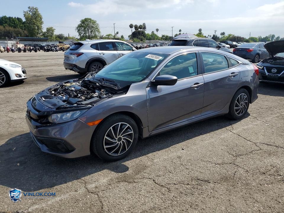 2020 HONDA CIVIC LX – Lot 53982866 auction photo