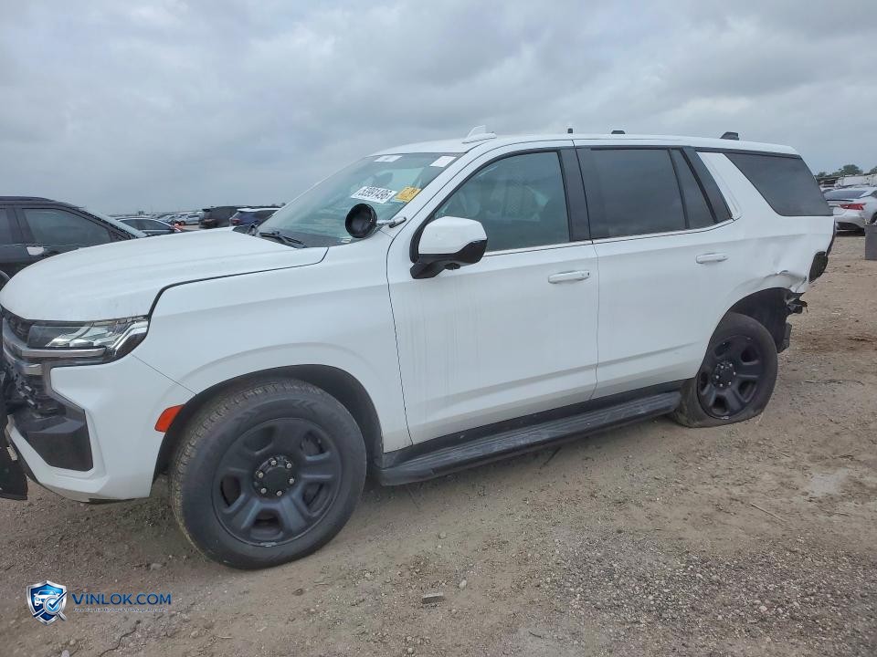 2022 CHEVROLET TAHOE C1500 – Lot 53991496 auction photo