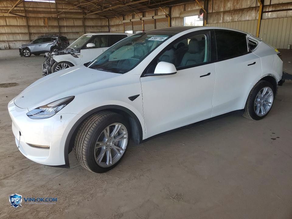 2023 TESLA MODEL Y – Lot 53997706 auction photo