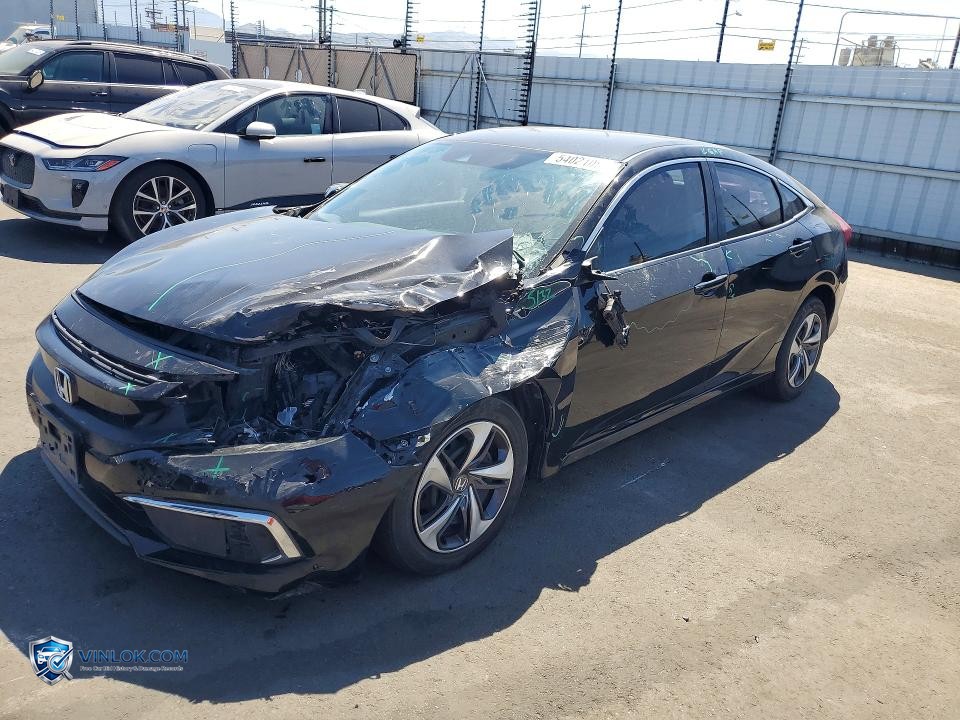 2019 HONDA CIVIC LX – Lot 54021086 auction photo