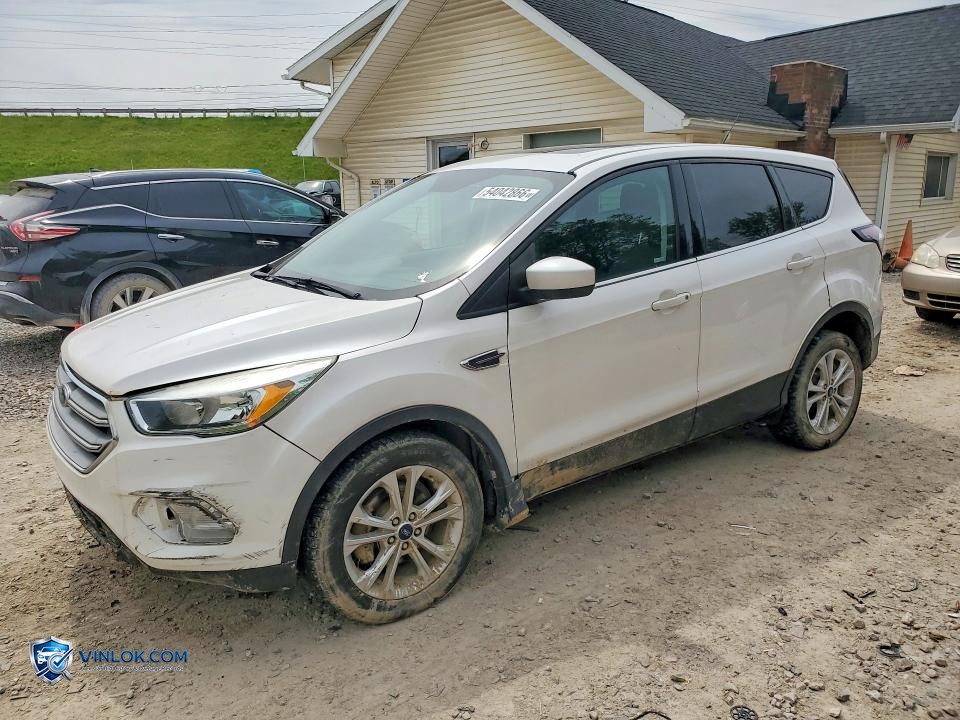 2017 FORD ESCAPE SE – Lot 54042866 auction photo