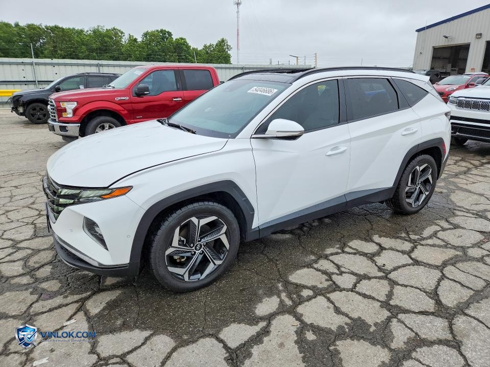 2023 HYUNDAI TUCSON LIMITED – Lot 54046686 auction photo