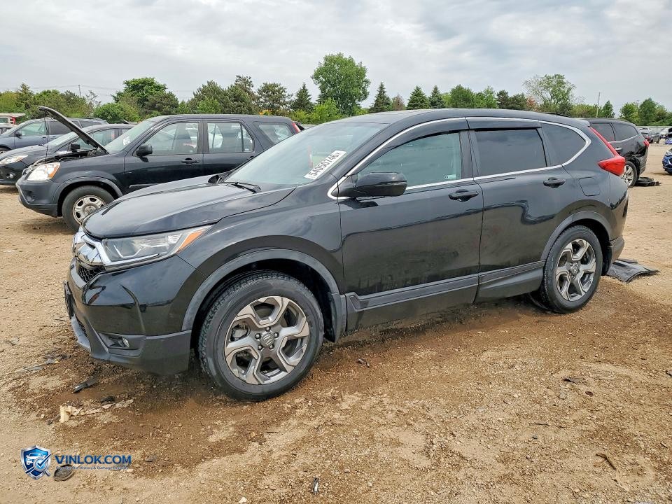 2019 HONDA CR-V EX – Lot 54050746 auction photo
