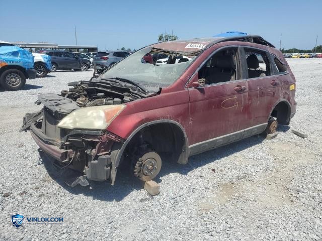 2010 HONDA CR-V EXL – Lot 54052205 auction photo