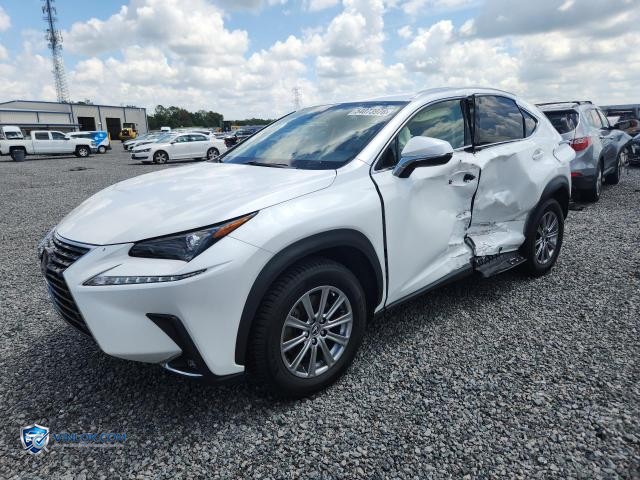 2021 LEXUS NX 300 BASE – Lot 54073976 auction photo