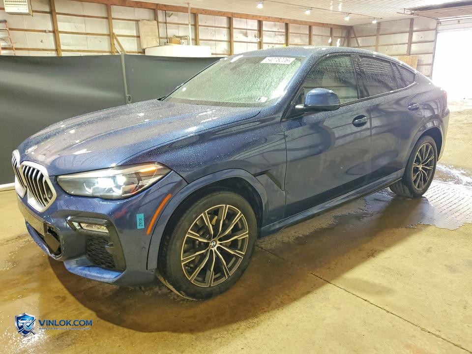 2021 BMW X6 XDRIVE40I – Lot 54078226 auction photo