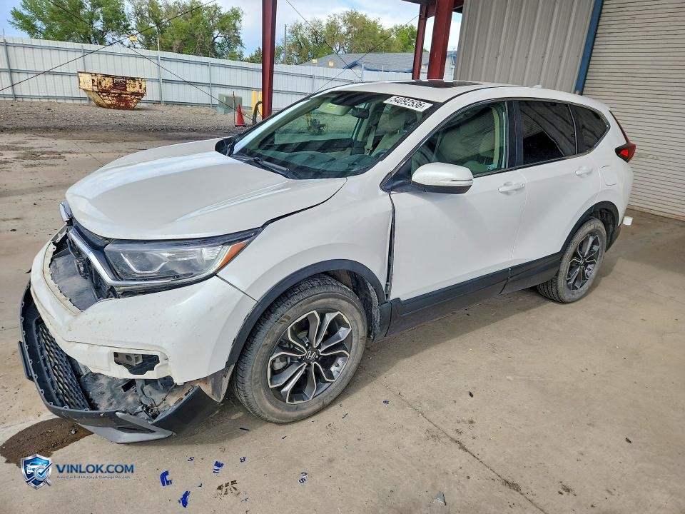 2020 HONDA CR-V EX – Lot 54092536 auction photo