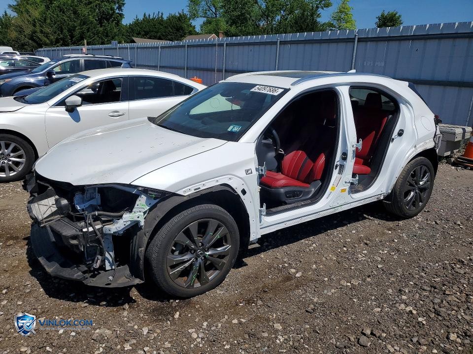 2019 LEXUS UX 250H – Lot 54097686 auction photo