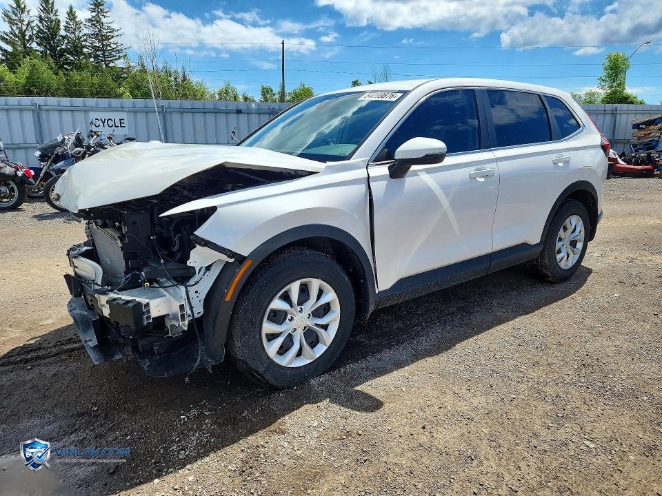 2024 HONDA CR-V LX – Lot 54099876 auction photo