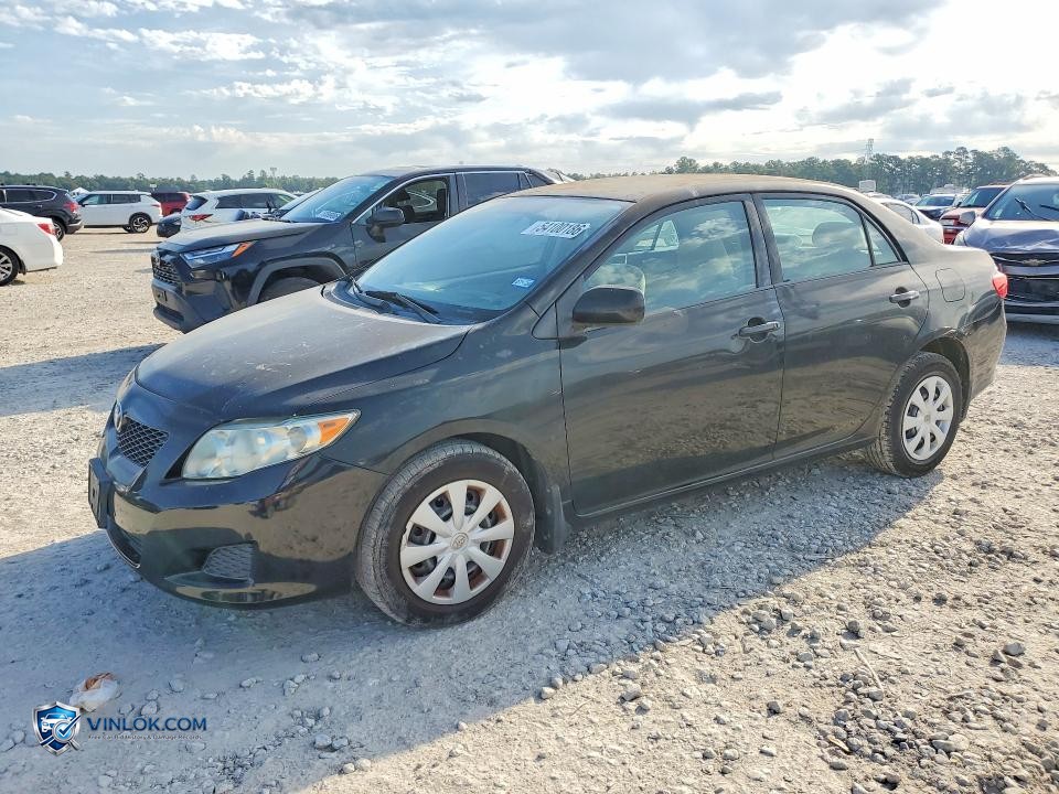 2010 TOYOTA COROLLA LE – Lot 54100186 auction photo