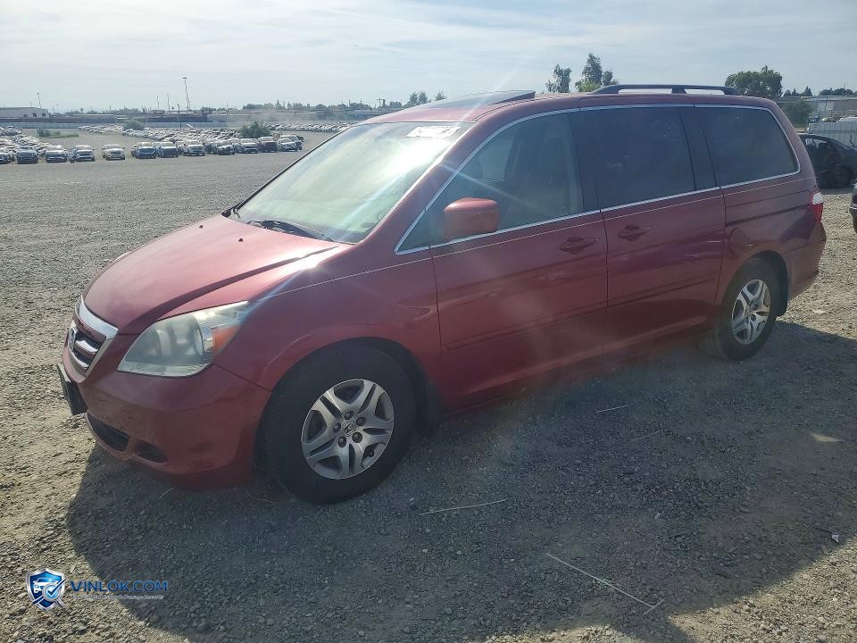 2005 HONDA ODYSSEY EXL – Lot 54110506 auction photo