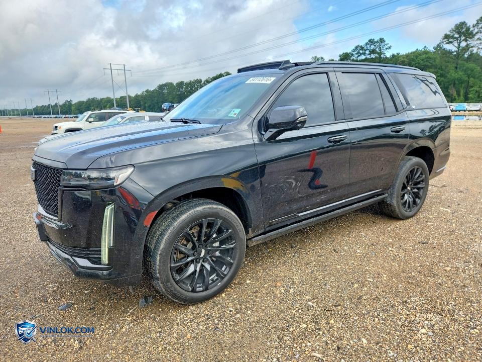 2021 CADILLAC ESCALADE SPORT PLATINUM – Lot 54112616 auction photo