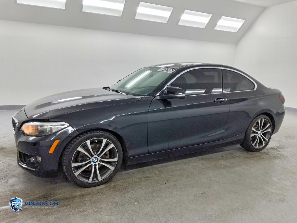 2017 BMW 230XI – Lot 54112956 auction photo