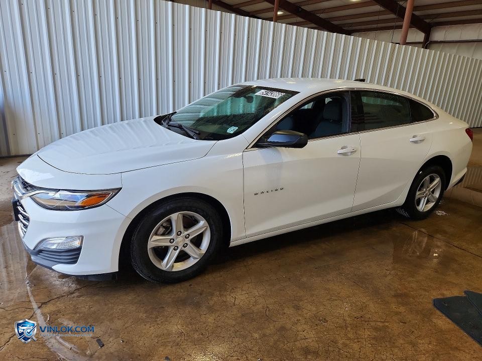 2024 CHEVROLET MALIBU LS – Lot 54143866 auction photo