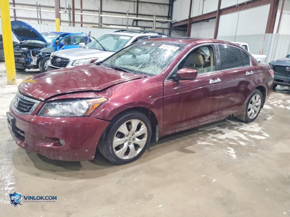 2008 HONDA ACCORD EXL – Lot 54148826 auction photo