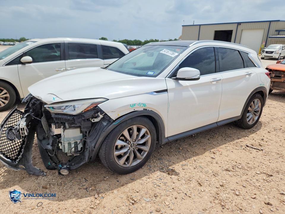 2019 INFINITI QX50 LUXE – Lot 54167736 auction photo