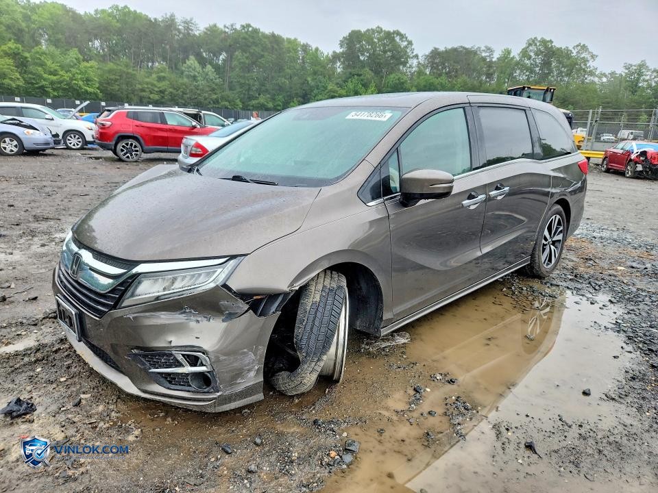 2019 HONDA ODYSSEY ELITE – Lot 54178266 auction photo
