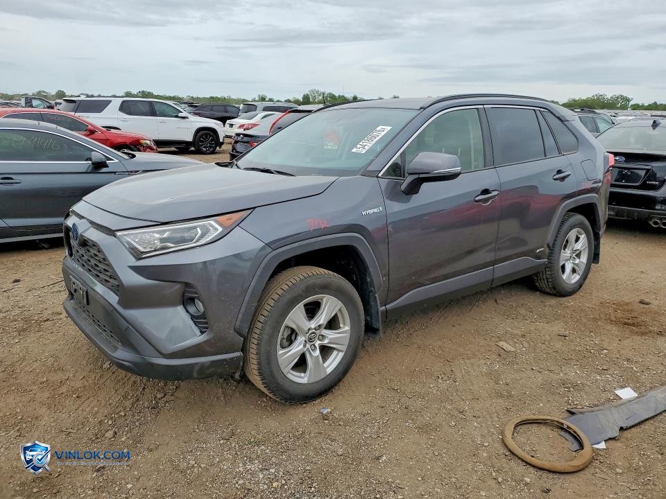 2019 TOYOTA RAV4 HYBRID XLE – Lot 54186076 auction photo
