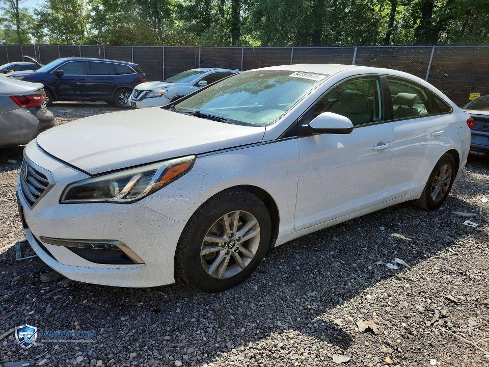 2015 HYUNDAI SONATA SE – Lot 54187876 auction photo