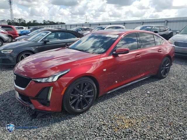 2023 CADILLAC CT5 SPORT – Lot 54220086 auction photo