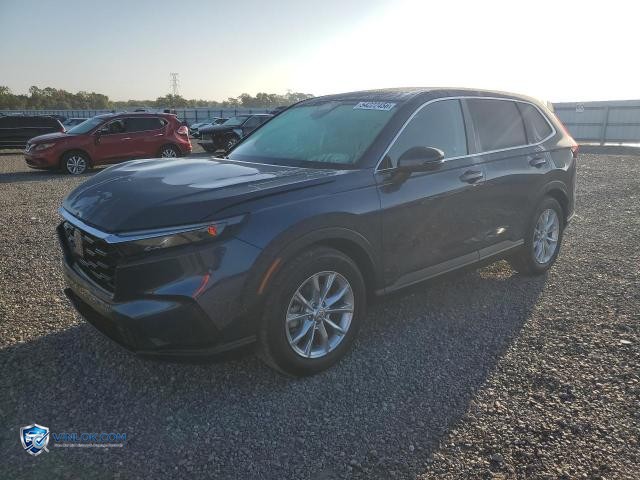 2025 HONDA CR-V EX – Lot 54222456 auction photo