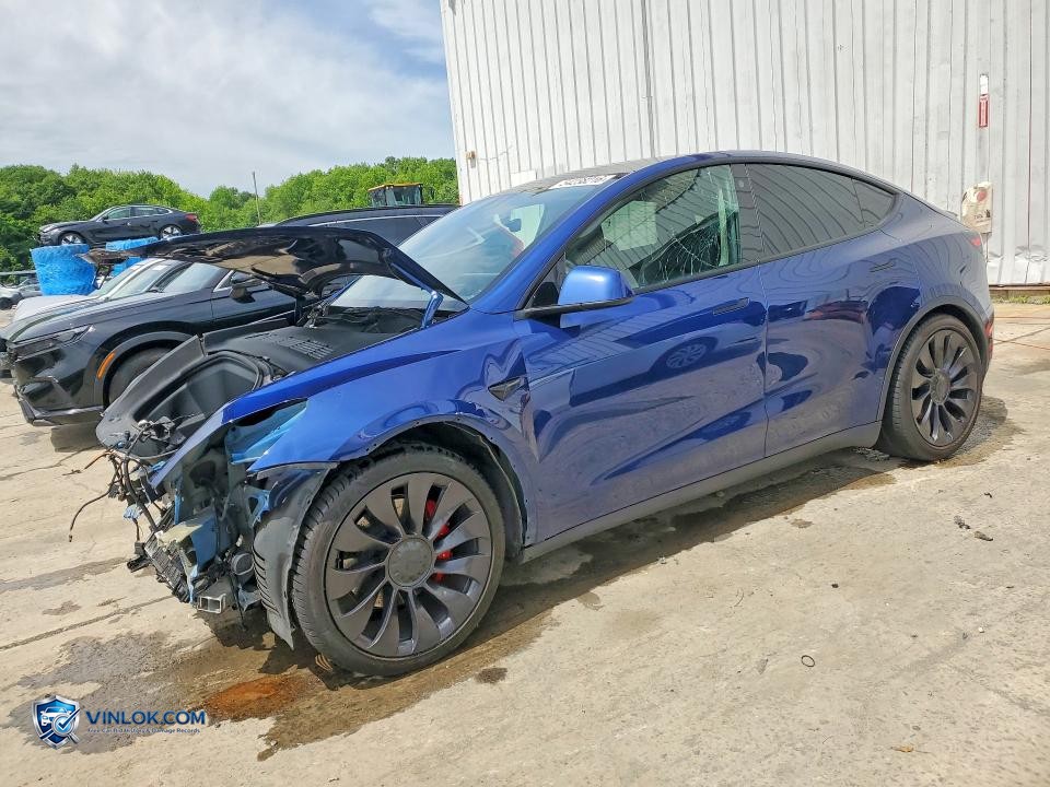 2021 TESLA MODEL Y – Lot 54238216 auction photo