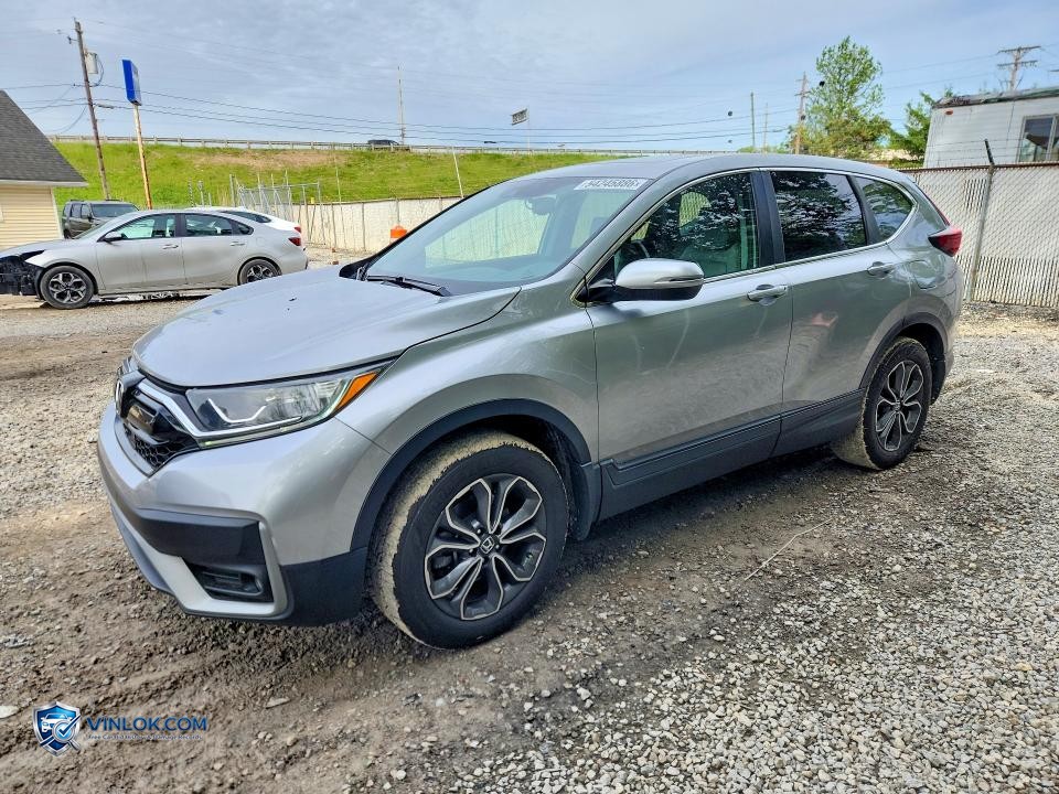 2022 HONDA CR-V EXL – Lot 54245886 auction photo