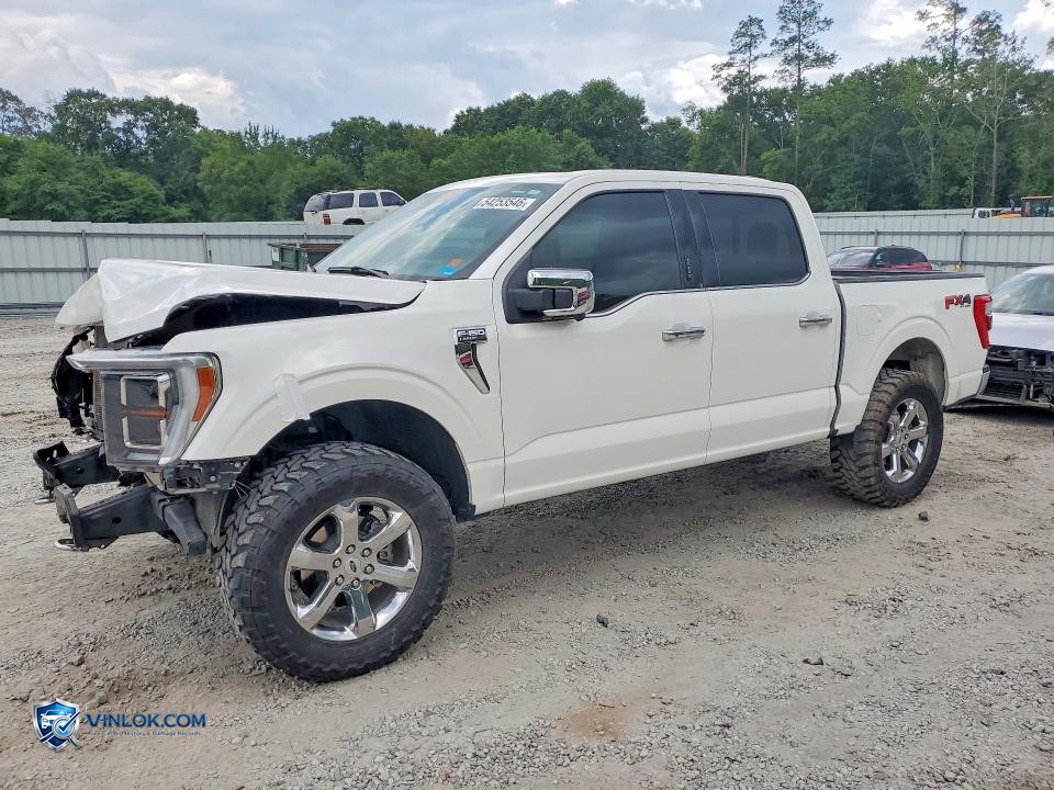 2023 FORD F150 SUPERCREW – Lot 54253546 auction photo
