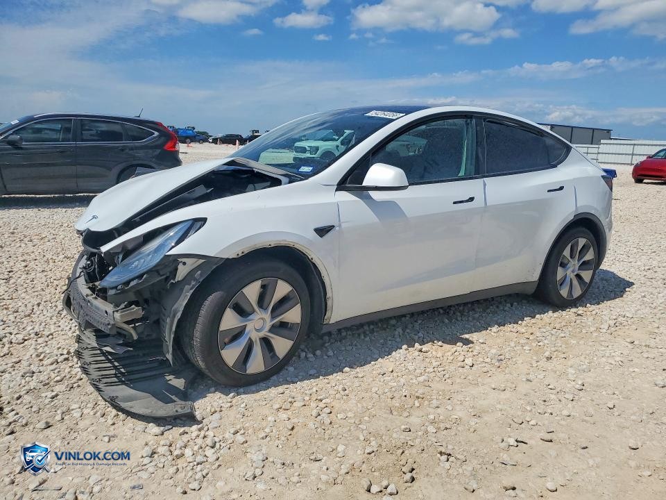2021 TESLA MODEL Y – Lot 54264056 auction photo