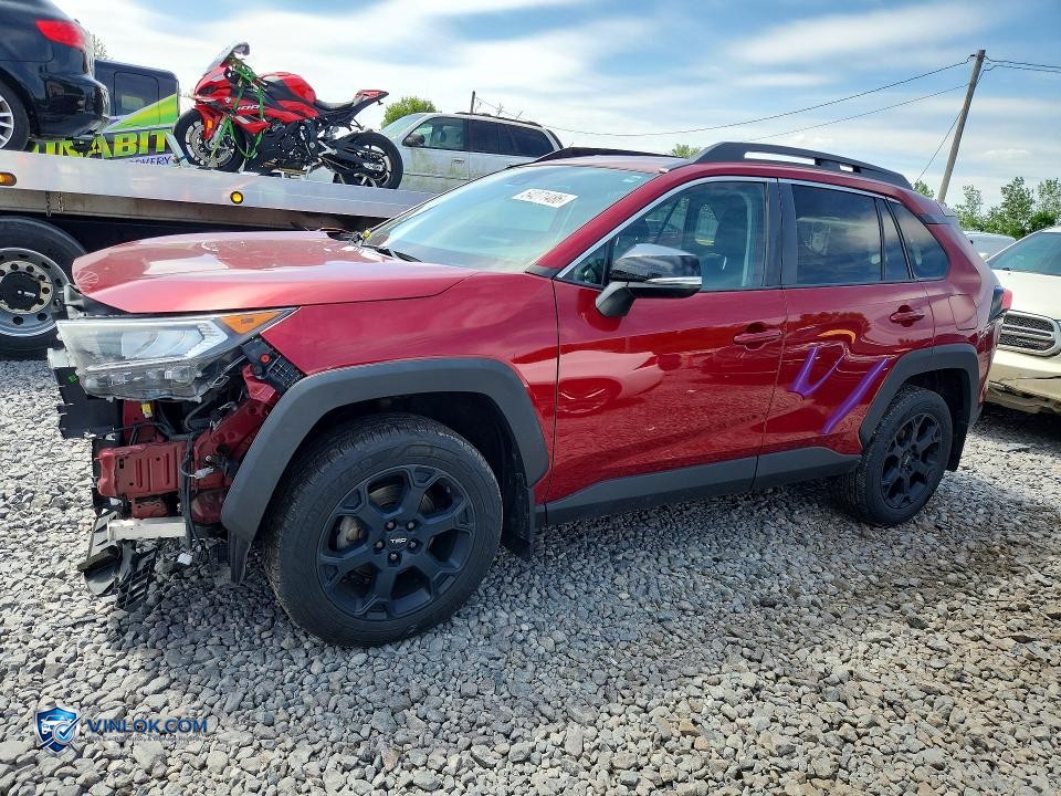 2020 TOYOTA RAV4 – Lot 54271486 auction photo