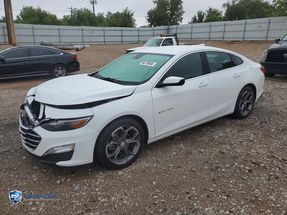 2024 CHEVROLET MALIBU LT – Lot 54276646 auction photo