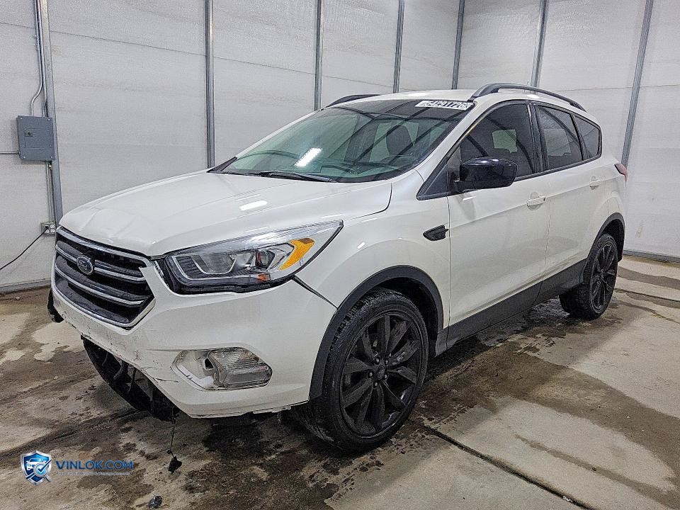 2019 FORD ESCAPE SE – Lot 54291726 auction photo