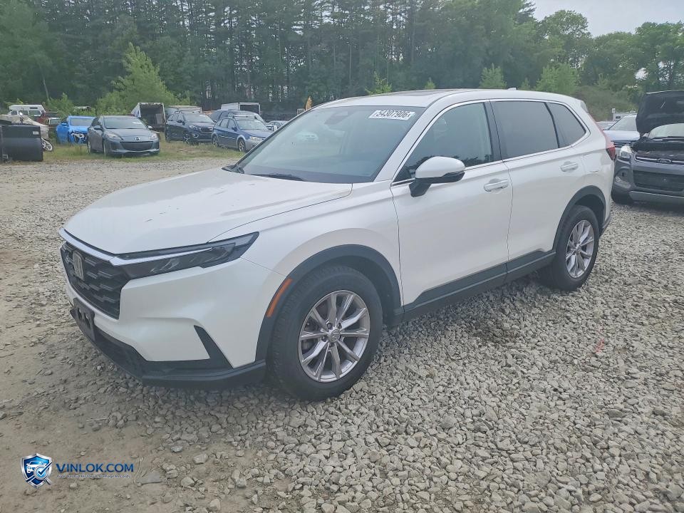 2024 HONDA CR-V EX – Lot 54307906 auction photo